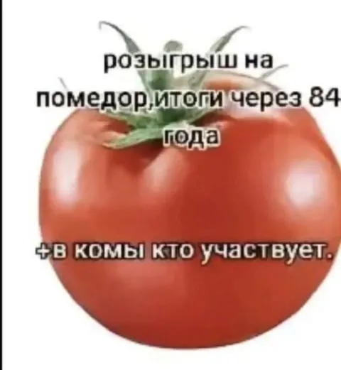 Розыгрыш помидора через 84 года