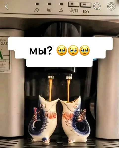 Мы? рыбьи сапоги