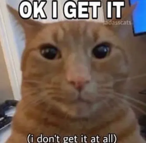 Confused Cat Does Not Understand