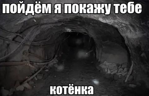 Пойдём я покажу тебе котёнка