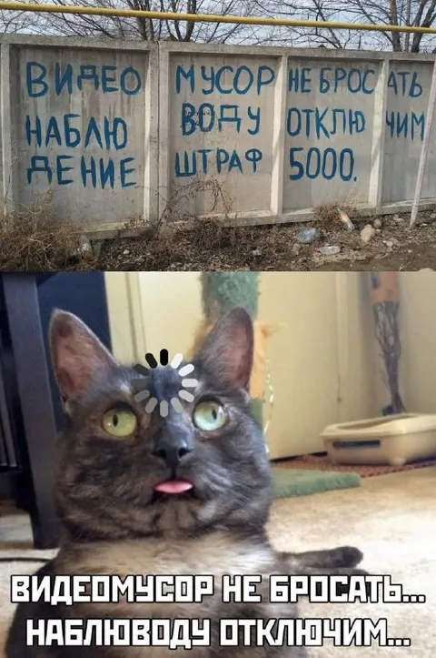 Видео наблюдение за мусором
