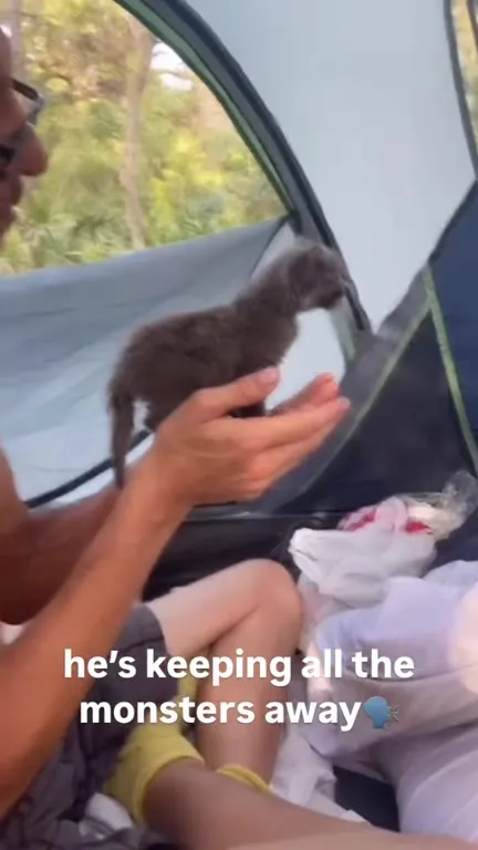Kitten Keeps the Monsters Away