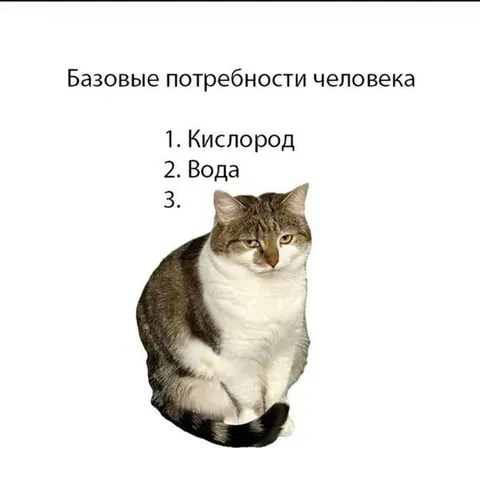 Базовые потребности человека