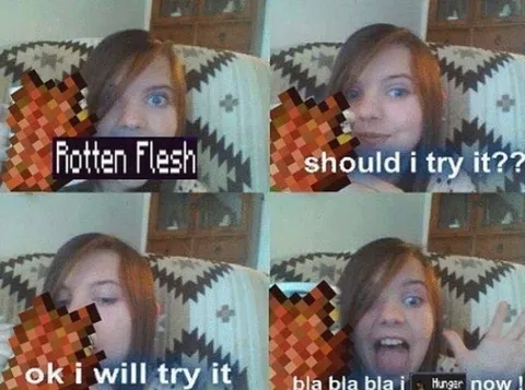Should I Try Rotten Flesh?