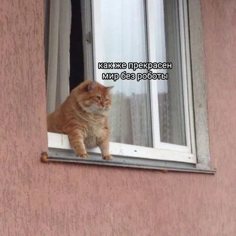 Мир без работы