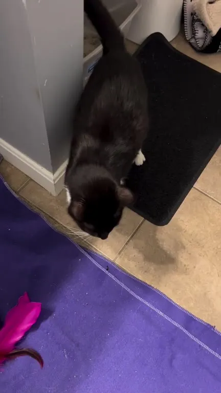 Proud Mama Shows Her Babies