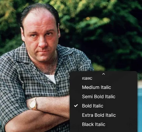 Tony Soprano Chooses Bold Italic