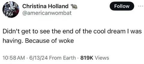Woke Up Before the Dream Ended