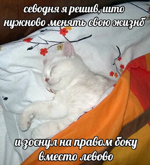 Решил изменить жизнь