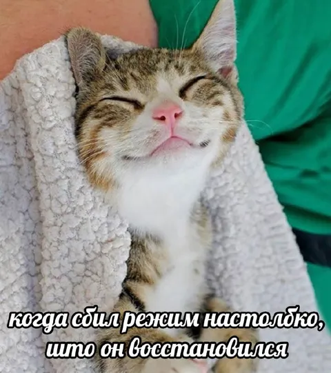 Когда сбил режим настолько