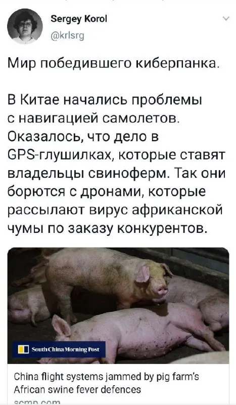 Победившего киберпанка свиноферма