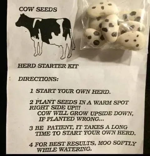 Cow Seed Herd Starter Kit