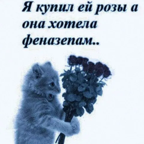 Купил розы, а она хотела феназепам