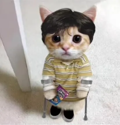 Котёнок в полосатой футболке