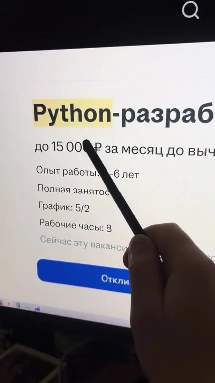 Вакансия Python-разработчика за 15 тысяч