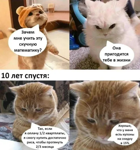 Математика пригодилась через 10 лет