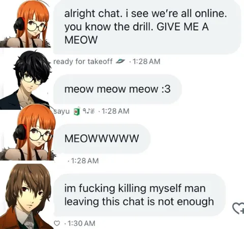 Chat Demands a Meow