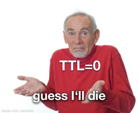 TTL=0 Guess I'll Die