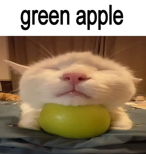 Green Apple Cat