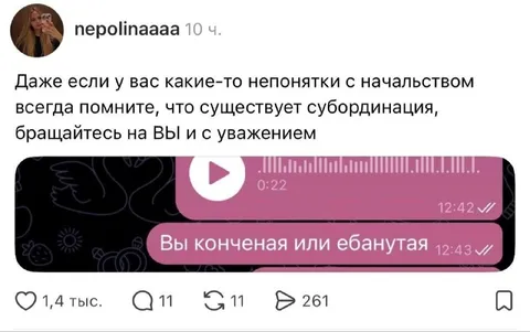 Субординация с начальством