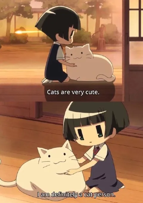 Definitely a Cat Person