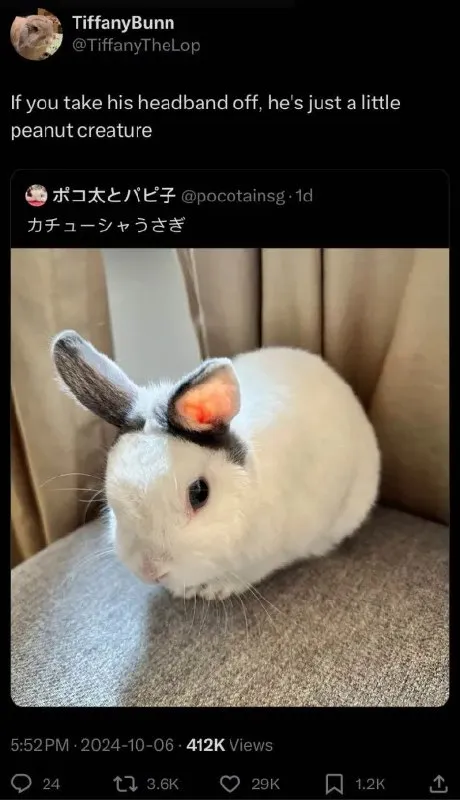 Little Peanut Creature Rabbit