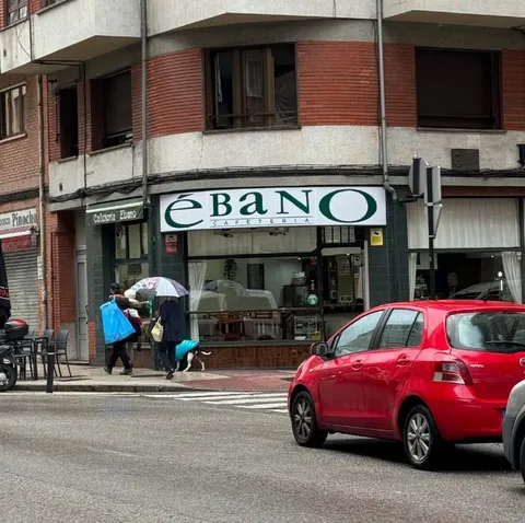 Ébano bajo la lluvia