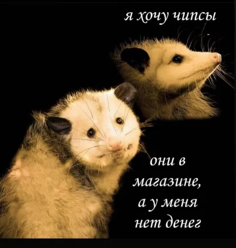 Хочу чипсы, но нет денег
