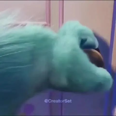 Бузз и Салли в закулисье