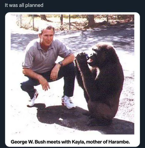 It was all planned