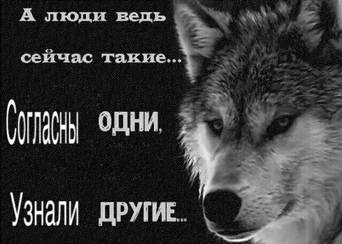 А люди ведь сейчас такие