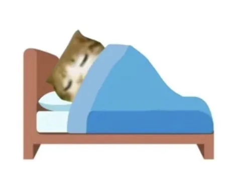 Кот спит под одеялом