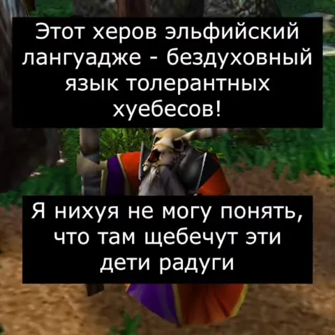 Переговоры с гомоэльфами