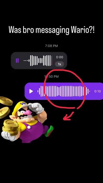 Was Bro Messaging Wario