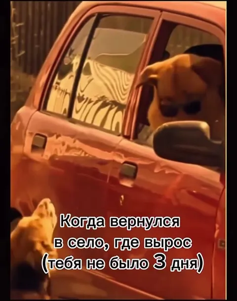 Когда вернулся в село