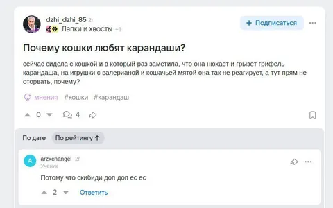 Почему кошки любят карандаши