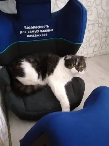 Самый важный пассажир