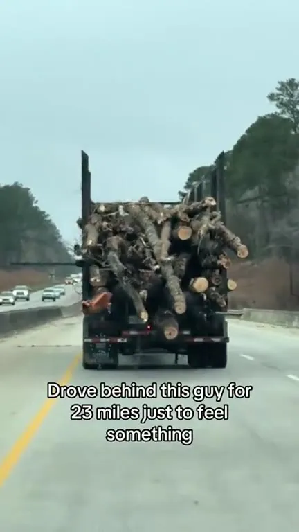 Following the Log Truck for Vibes