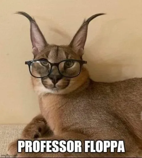Professor Floppa