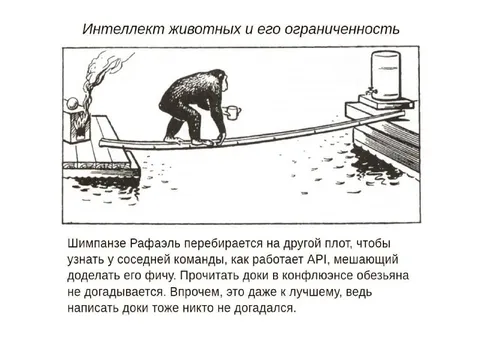 Шимпанзе пытается разобраться с API