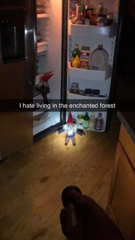 Gnome Hates the Enchanted Forest