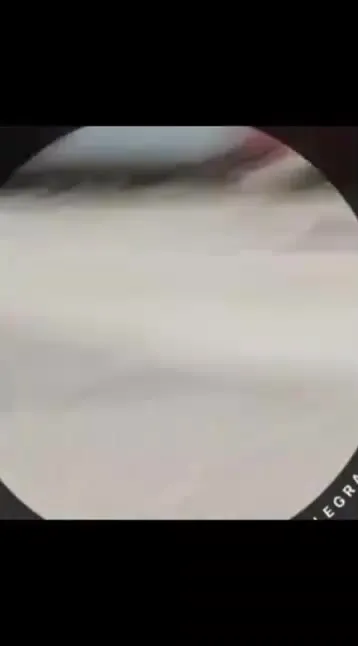 Девушка нашла ласкового пса