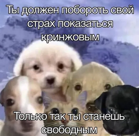 Кринжовый страх и свобода