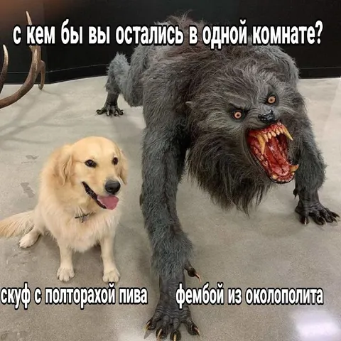 С кем остаться в одной комнате