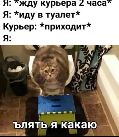 Курьер пришёл, когда я какаю