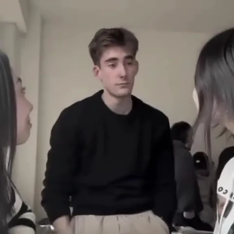 Коты устраивают уличные гонки