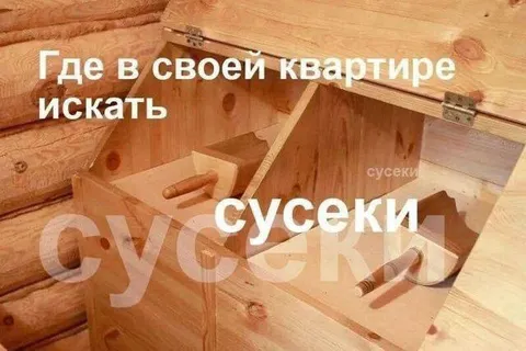 Где искать сусеки