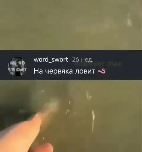 Комментарии про рыбалку в море