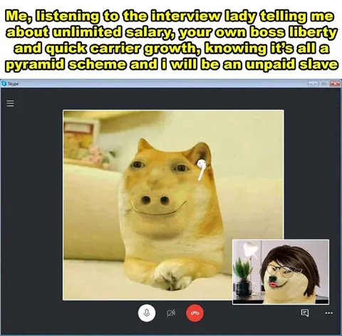 Unpaid Slave Pyramid Scheme Interview