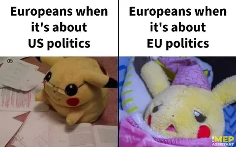 Europeans React to Politics
